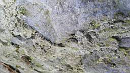 acastle
                          105285.jpg